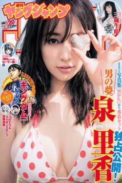 扫黑电视剧在线观看